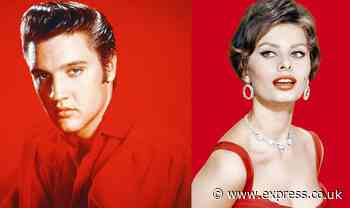 Sophia Loren knew exactly what to do when she met Elvis – and she wasted no time