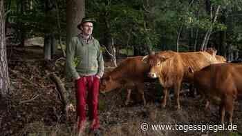 „Unser Hof ist bedroht“: Warum Bio-Bauer Allhoff-Cramer Volkswagen verklagt - Wirtschaft - Tagesspiegel