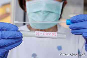Covid: 84 nuovi casi e nessun decesso a Prato - tvprato.it