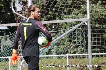 SV Fellbach, TSV Essingen: SV Fellbach kurz vor dem Ziel - Stuttgarter Nachrichten
