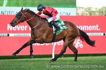 Sydney raider heavily backed in the BRC Sprint - Just Horse Racing