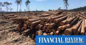 Japan's Mitsui and Nomura buy Sydney fund manager New Forests - The Australian Financial Review