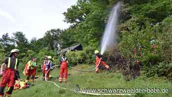 Brand am Schlossberg - Feuerwehr Schiltach muss Unterholz und Baum ablöschen - Schwarzwälder Bote