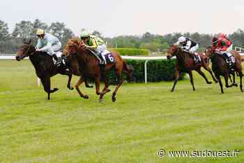 Dax : dans les jumelles, nos échos hippiques avant la réunion de ce dimanche 22 mai - Sud Ouest