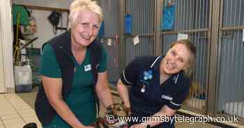 A look inside Grimsby's Blue Cross Animal Hospital and how staff work tirelessly to care for the animals - Grimsby Live