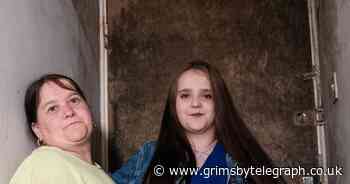 Grimsby family living in mould-infested flat which has even spread to furniture - Grimsby Live