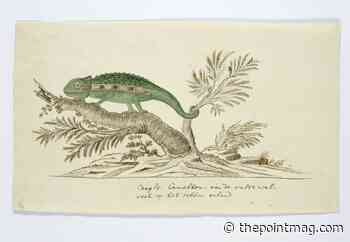 The Morality Of Critics