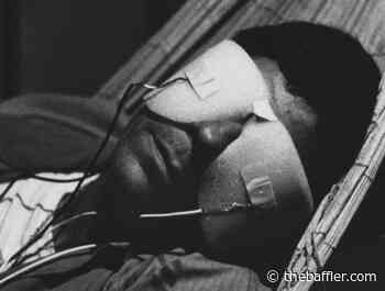 How Our Memory Is Becoming More Specialized