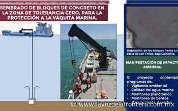 Bloques de concreto en el mar de San Felipe para proteger la vaquita marina - La Voz de la Frontera