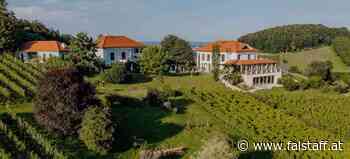 15-Jahre-Jubiläumsfest für PIWI-Pioniere am Weingut Hirschmugl