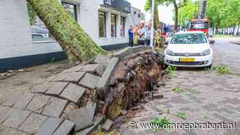 112-nieuws: omgewaaide boom op winkel • steekpartij in Den Bosch - Omroep Brabant