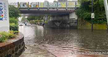 Overlast door pittige onweersbuien in Twente en Achterhoek, boom valt op vrouw in Diepenheim - Tubantia