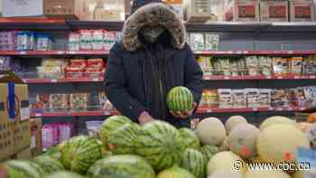 The Trudeau government isn't using all the tools to protect Canadians from inflation, economist says