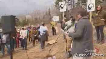 Wetland activists rally against planned development in Mount Hope | Watch News Videos Online - Global News