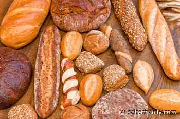 In Defense of Bread – The “Staff of Life” Throughout History