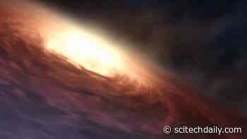 Supermassive Black Holes: The Ultimate Snitches Giving Away Galactic Center Secrets