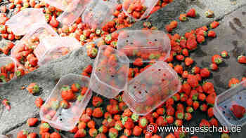 Auslandspodcast Ideenimport: Weniger Essen verschwenden - nur wie? - tagesschau.de