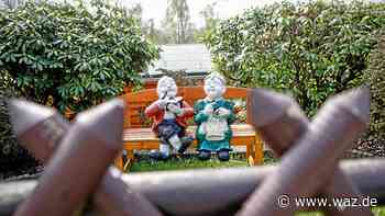 Stadt Essen soll Brachflächen zu Kleingärten machen - WAZ News