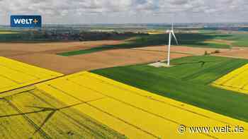 GLS Bank, Triodos und Co. – diese Konten sind wirklich grün und diese nicht