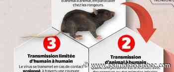 Une maladie rare et peu contagieuse