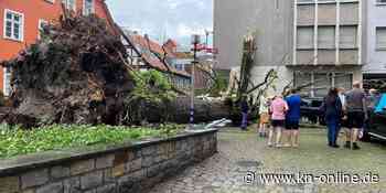 Paderborner Erzbischof kündigt Hilfen an
