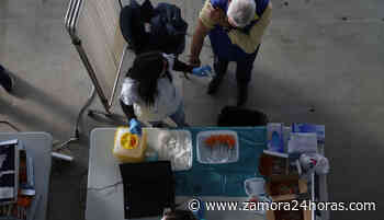 Nuevo calendario de vacunaciones para la próxima semana en Zamora - Zamora 24 Horas