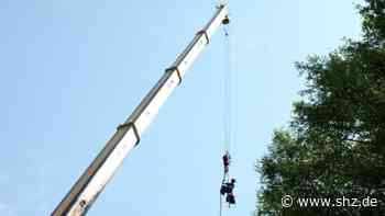 Barmstedt: Mobilkran im Einsatz: Ein halbes Dutzend Erlen am Rantzauer See gefällt | shz.de - shz.de