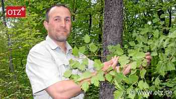 So gestaltet sich das Zusammenleben von Wildtier und Mensch in Jena - Ostthüringer Zeitung