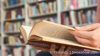 2 Republicans seek to limit sales of books deemed 'obscene' to minors in Virginia Beach