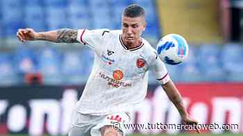 Perugia, Lisi: "Sconfitta col Brescia brucia. Tifo il Pisa, ma vedo Benevento-Monza in finale" - TUTTO mercato WEB