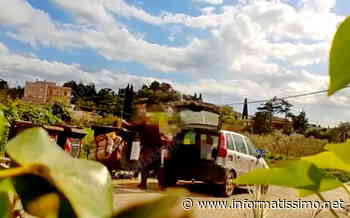 Putignano - Abbandono dei rifiuti: ora sanzioni fino a 500 euro - Putignano Informatissimo