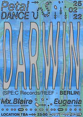 From law school to designing posters for raves