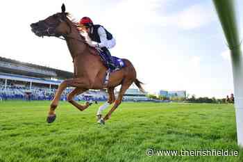 TIME WILL TELL: Kyprios makes little appeal at current Gold Cup prices - The Irish Field