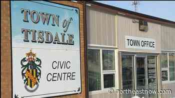 'Many hearts have been broken': Tisdale memorial water fountain removed after repeated attacks - northeastNOW