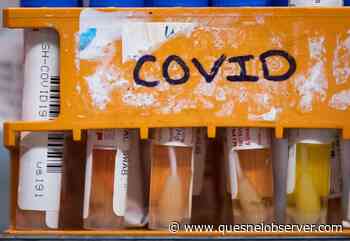 BC COVID hospitalizations down, 'second Omicron wave' may have peaked – Quesnel Cariboo Observer - Quesnel - Cariboo Observer