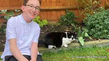 Young cat-lover from Milton Keynes raises funds and awareness in honour of family pet - MKFM