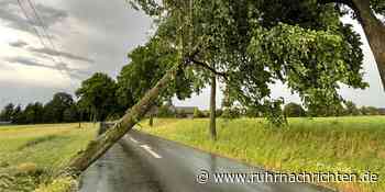 Unwetter zieht an Schermbeck und Raesfeld vorbei - Ruhr Nachrichten