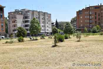 Sfalciata l'erba al pratone di via Teulada, pagano i comitati. "Restituiamo dignità all'area" - Prati - romah24.com