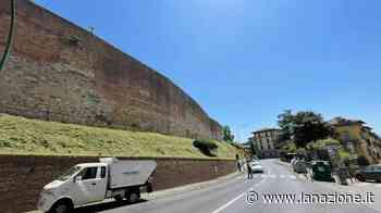 Taglio dell’erba al secondo ’giro’ "Reclutiamo risorse per farne cinque" - LA NAZIONE