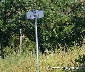 Venite a tagliare l'erba alla Scopaia per favore - QuiLivorno.it