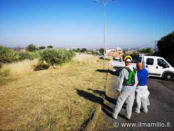 Frascati | Taglio dell'erba incolta all'ex Parco del Tiro a Segno - ilmamilio.it - L'informazione dei Castelli romani