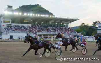 IPPODROMO - Agnano trotto sull'erba, prima nazionale del "Trofeo Verde" con montepremi e scommesse. - Napoli Magazine