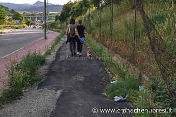 Nuoresi esasperati dall’erba troppo alta ma l’Assessore promette: “La settimana prossima inizierà lo sfalcio” - Cronache Nuoresi