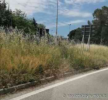 Chieti, erba alta sulla strada provinciale denominata Via Masci - Abruzzo Cityrumors