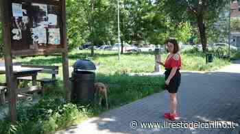 Rifiuti, erba alta e vandalismi "Il parco di via Rossini è invivibile" - il Resto del Carlino
