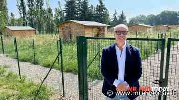Orti urbani, 40 nuove 'isole' green a Rozzano - MilanoToday.it