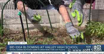 Your Valley Toyota Dealers are Helping Kids Go Places: Cesar Chavez High School mindfulness garden - ABC15 Arizona in Phoenix