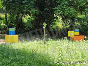 Presentato il progetto Bee Street Alba - http://gazzettadalba.it/