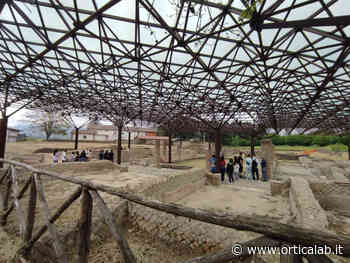 Antica Abellinum, taglio dell'erba e pulizia dell'area. Proseguono gli incontri formativi con studenti e Università - Orticalab