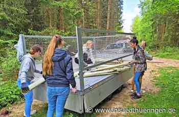 Aufforstung - Gymnasiasten helfen dem Wald - inSüdthüringen